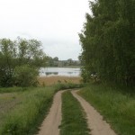 Lisówki - Jezioro Tomickie