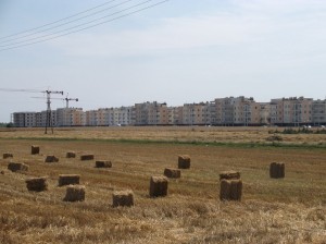 Zalasewo (gmina Swarzędz) - nowe zagłębie mieszkaniowe
