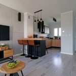 Jak urządzić salon połączony z kuchnią - Linea deweloper, Dąbrówka koło Poznania - Mieszkanie w stylu industrialnym
