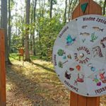Ścieżka Edukacyjna Skarby Lasu w Tulcach to możliwość spaceru z dziećmi i poznawania przyrody. Foto Blisko Poznania