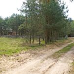 Działki budowlane przy lesie w Radzynach (gmina Kaźmierz)